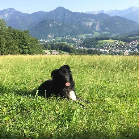 Апартаменты Obereck Natur-ruhelage -