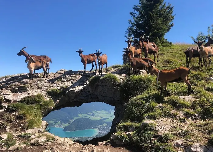 Obereck Natur-ruhelage -